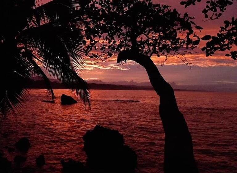 پانسیون Cahuita Inn