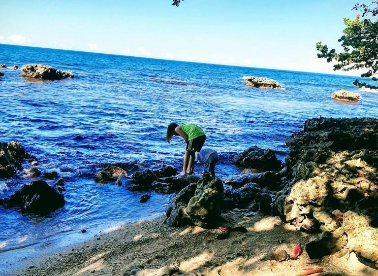 پانسیون Cahuita Inn