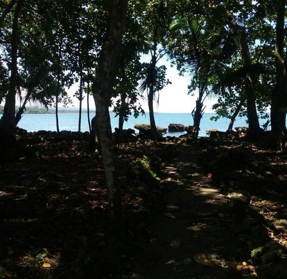 پانسیون Cahuita Inn