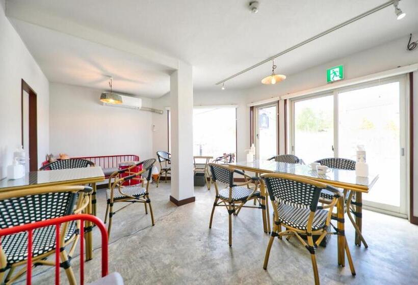 פנסיון Camelot