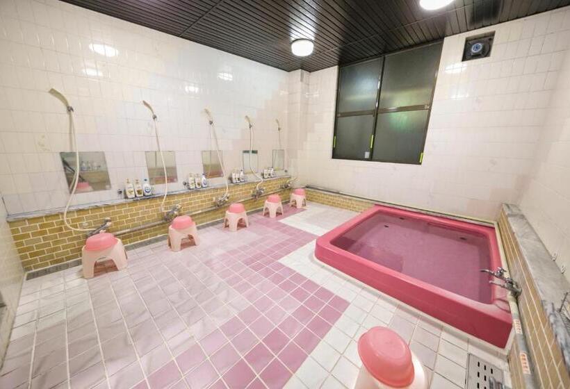 פנסיון Camelot