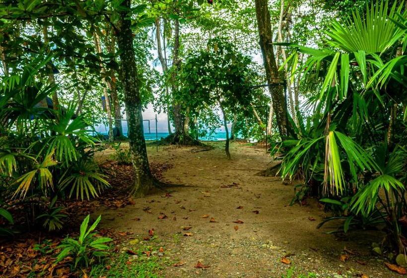 ペンション Casitas La Playa