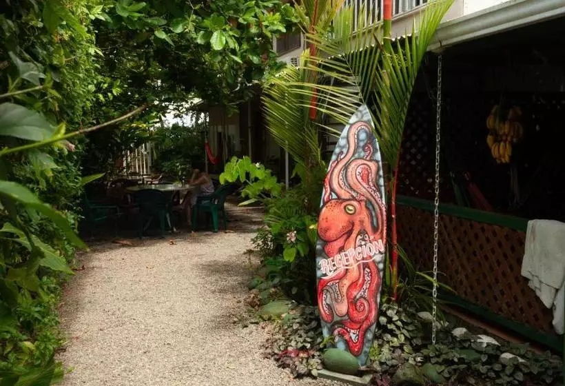 Majatalo Casitas La Playa