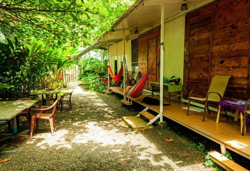 ペンション Casitas La Playa