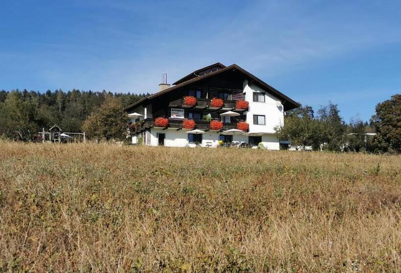 Пансион Erlebnishaus Spiess