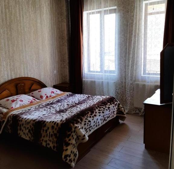 پانسیون Guesthouse Andro Burduli
