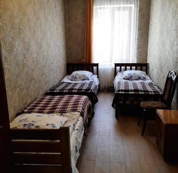 پانسیون Guesthouse Andro Burduli