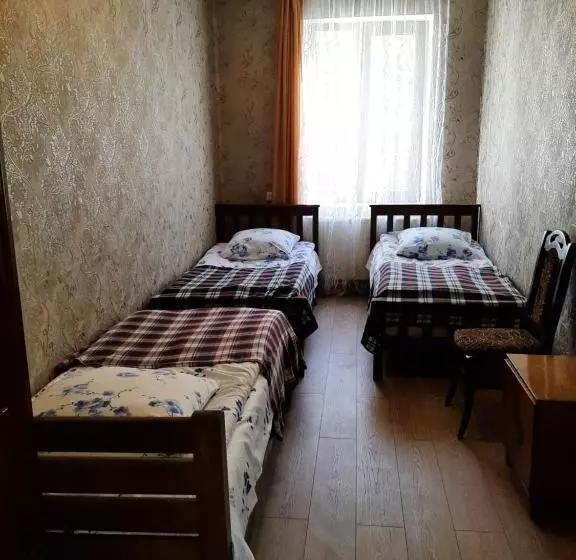 پانسیون Guesthouse Andro Burduli