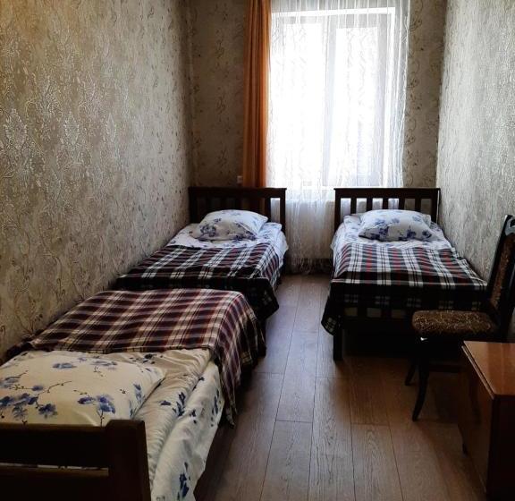 پانسیون Guesthouse Andro Burduli