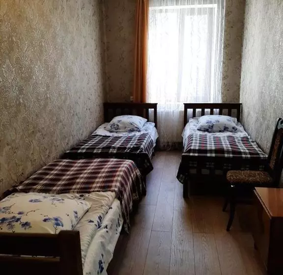 پانسیون Guesthouse Andro Burduli