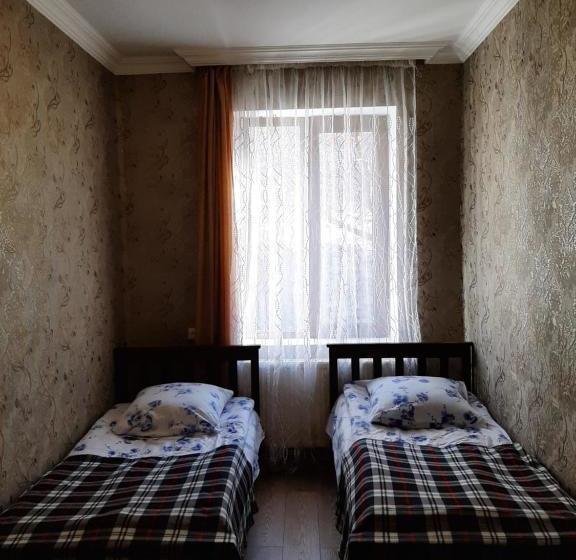 پانسیون Guesthouse Andro Burduli