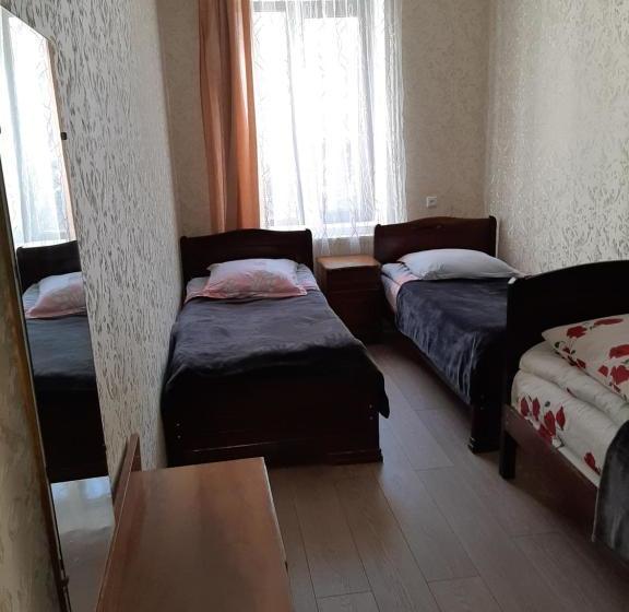 پانسیون Guesthouse Andro Burduli