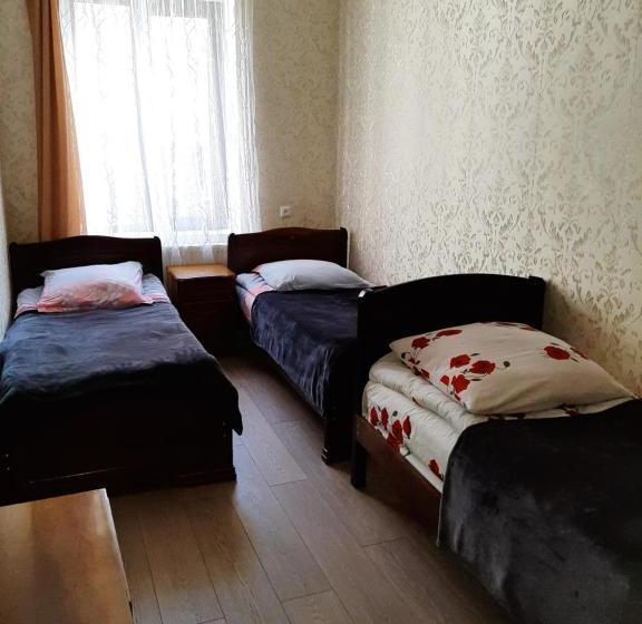 پانسیون Guesthouse Andro Burduli