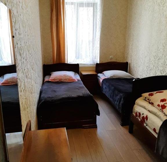 پانسیون Guesthouse Andro Burduli