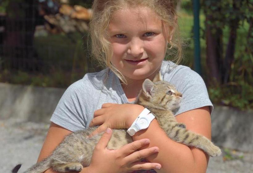 פנסיון Penzion U Laca