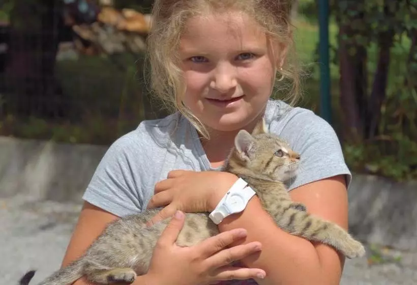 ペンション Penzion U Laca