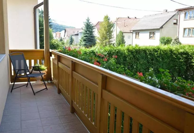 ペンション Penzion U Laca