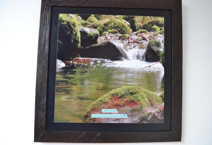 ユースホステル Hostal Bosque De Niebla