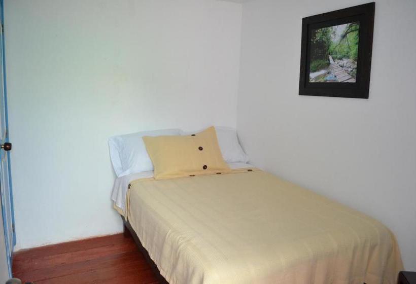 ユースホステル Hostal Bosque De Niebla