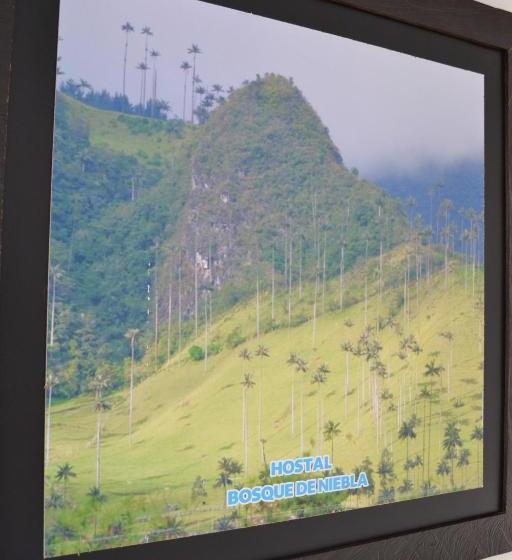 ユースホステル Hostal Bosque De Niebla