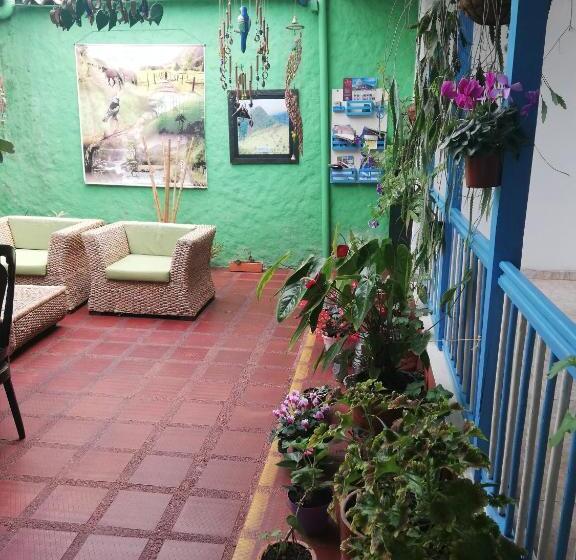 ユースホステル Hostal Bosque De Niebla