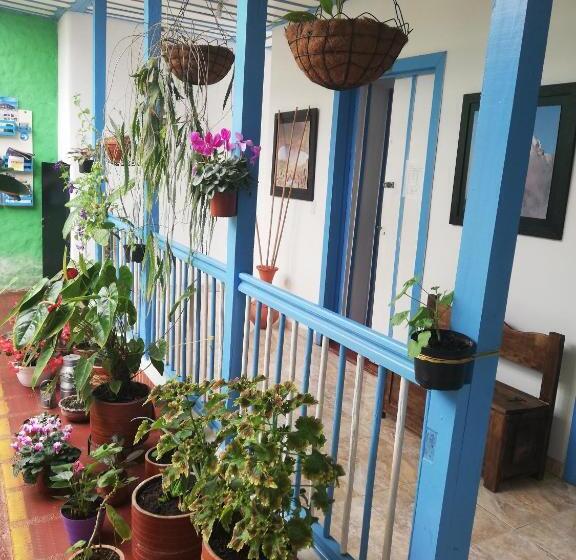 ユースホステル Hostal Bosque De Niebla