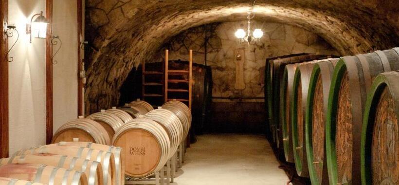 Пансион Weingut & Gästehaus Dombi Weiss