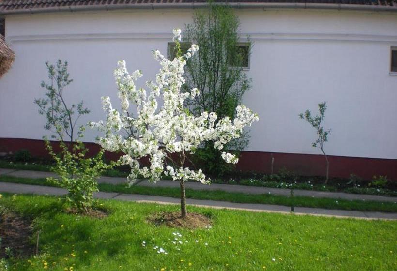 پانسیون Hajdu Lovasudvar Hortobágy