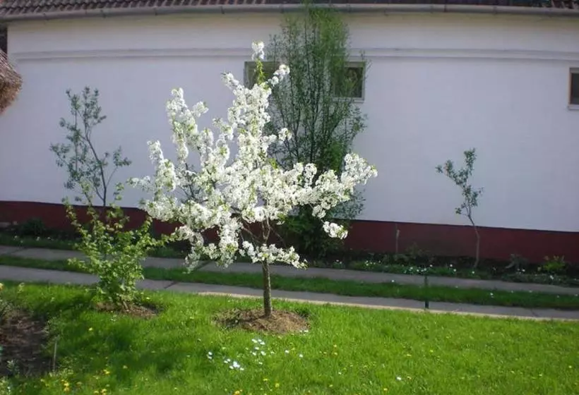 ペンション Hajdu Lovasudvar Hortobágy