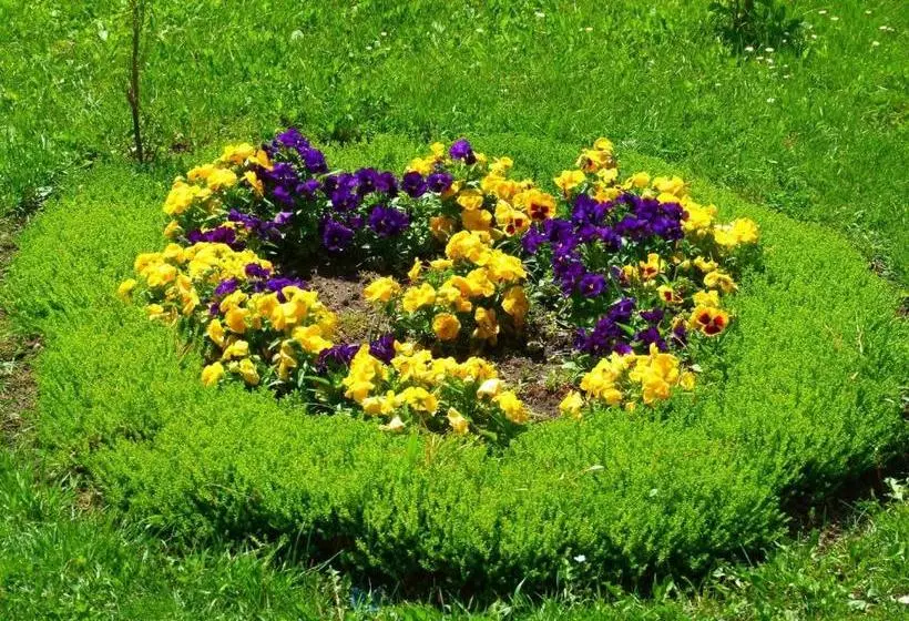 ペンション Hajdu Lovasudvar Hortobágy