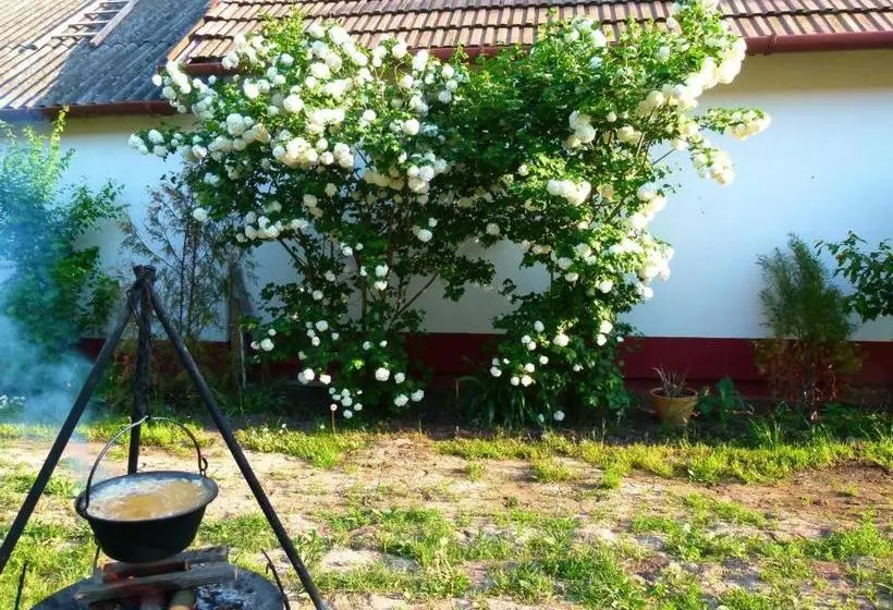 ペンション Hajdu Lovasudvar Hortobágy