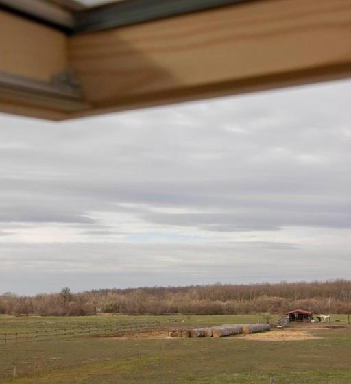 پانسیون Hajdu Lovasudvar Hortobágy