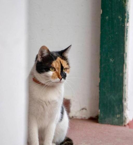 پانسیون Hajdu Lovasudvar Hortobágy