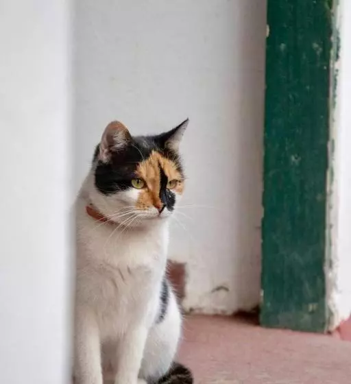 ペンション Hajdu Lovasudvar Hortobágy