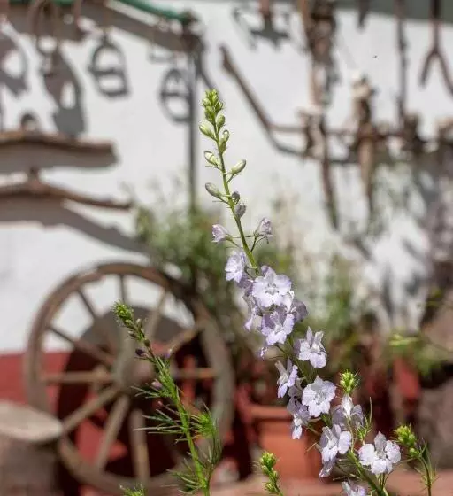 ペンション Hajdu Lovasudvar Hortobágy