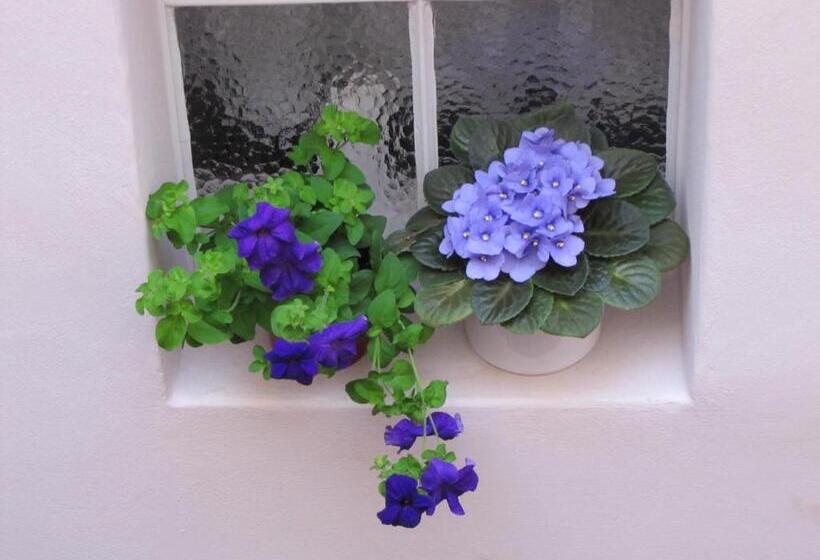 ペンション Penzion Aldo