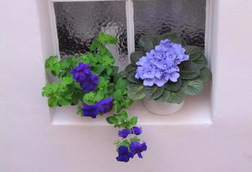 ペンション Penzion Aldo