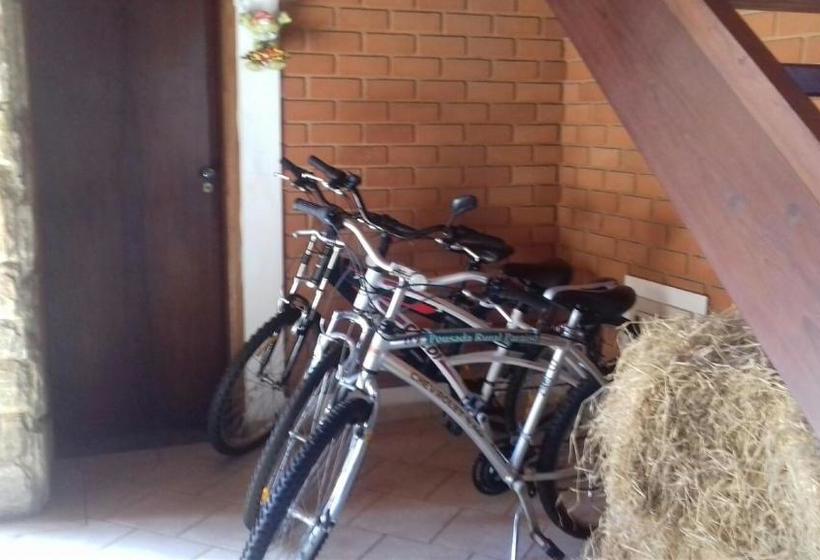 Пансион Pousada Rural Paraíso