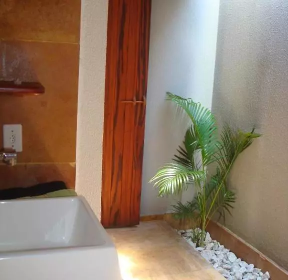 ペンション The Barra Grande Guesthouse & Hostel