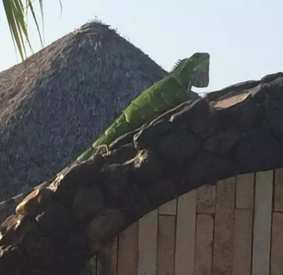 ペンション The Barra Grande Guesthouse & Hostel