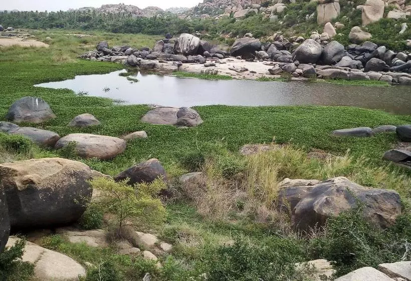 ペンション Riverside Homestay