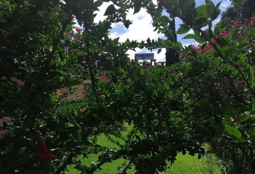 호스텔 Posada Tolteca