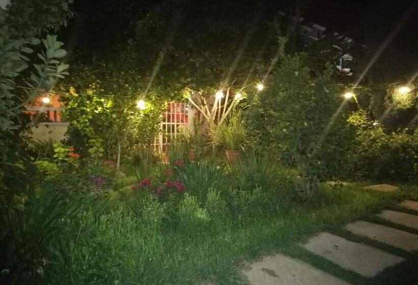 호스텔 Posada Tolteca