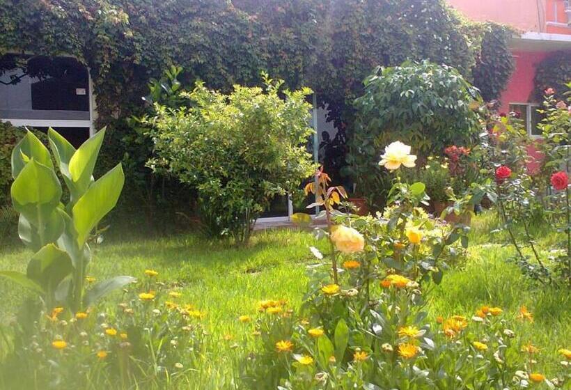 호스텔 Posada Tolteca