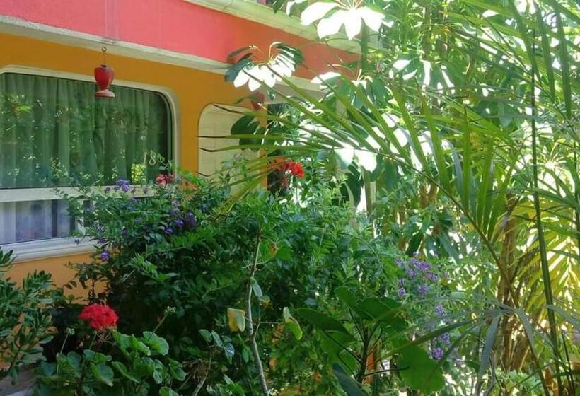 호스텔 Posada Tolteca