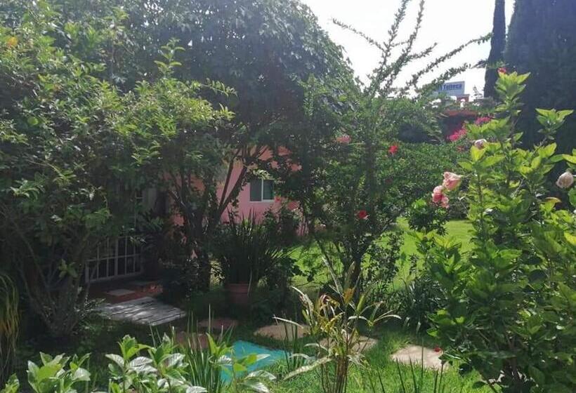 호스텔 Posada Tolteca