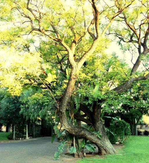 膳宿费 Carters Rest Guesthouse