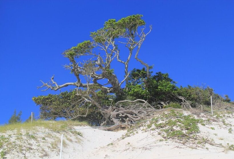 Pension Costa Dourada Pousada