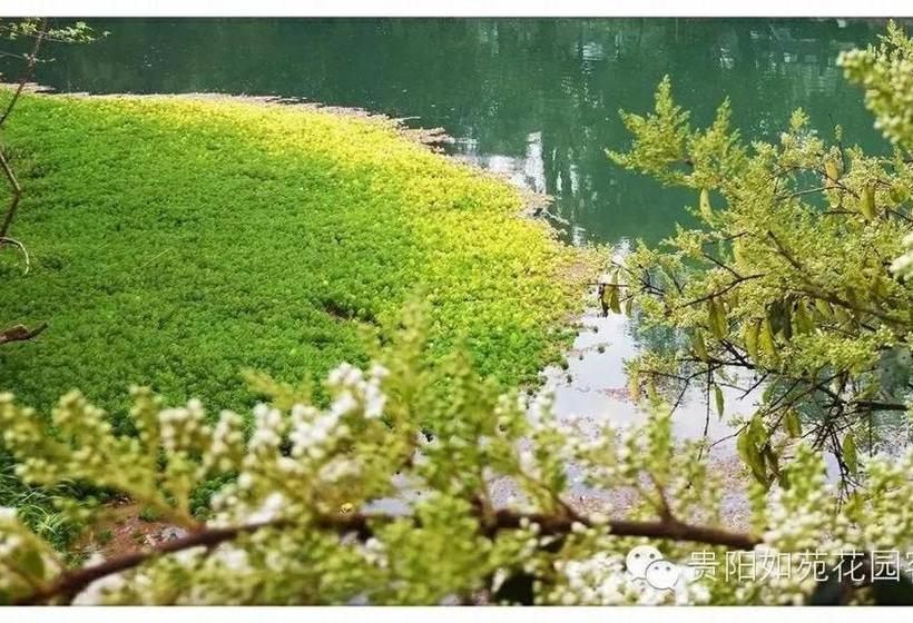 ペンション Dream Garden Inn