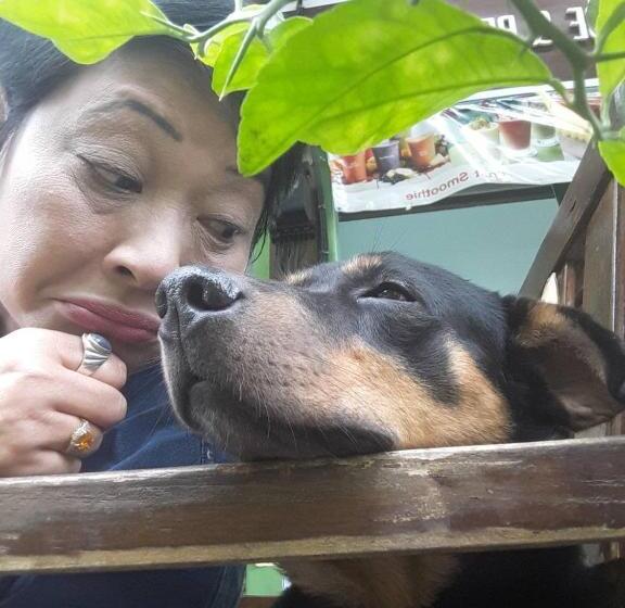 膳宿费 Jay Guesthouse And Restaurant